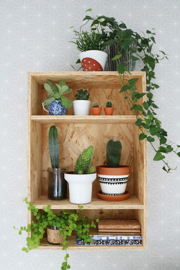 Urban Jungle Bloggers: Plantshelfie - Enter My Attic