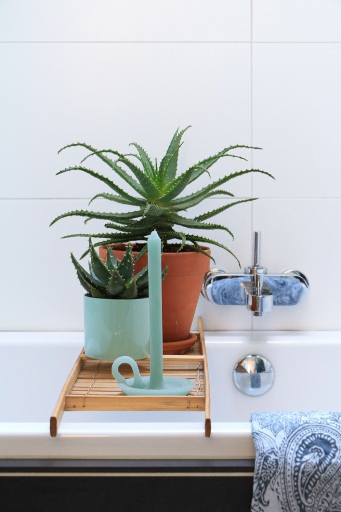 bathroom styling plants
