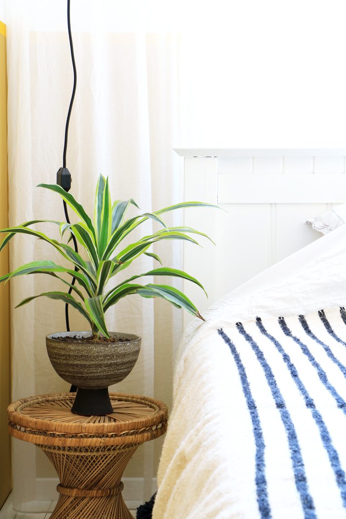 retro plant bedroom