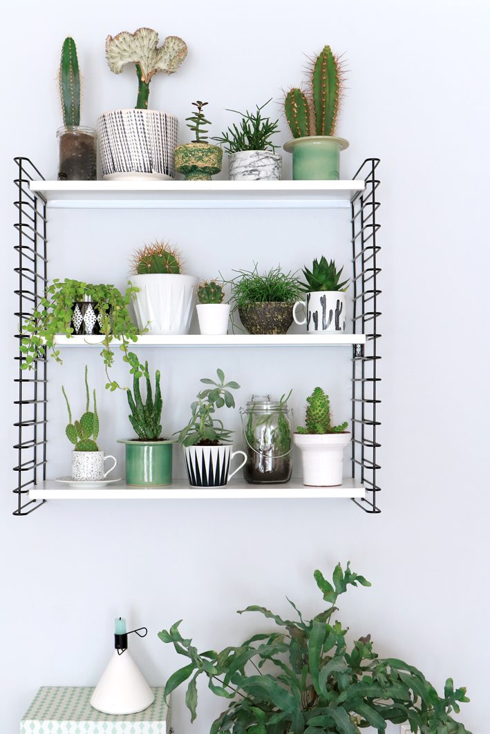 styling with plants