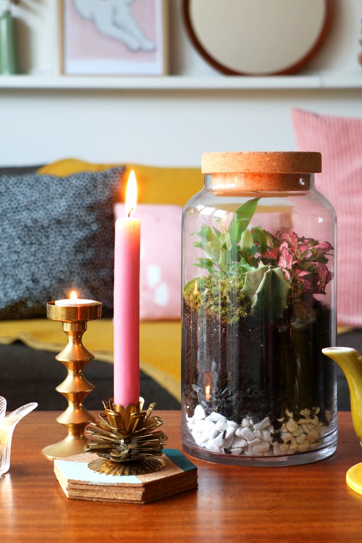 diy terrarium