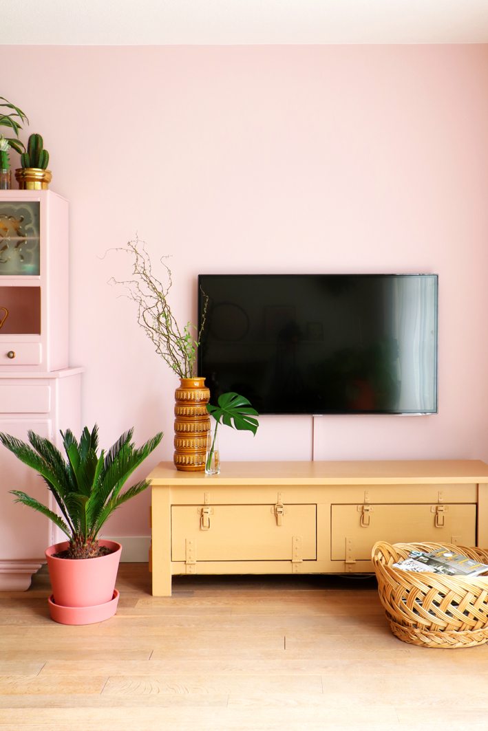 livingroom with pink wall